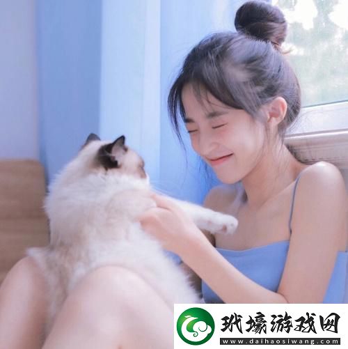 b站視頻觀看人數(shù)突然猛增老狼迎來(lái)重磅更新