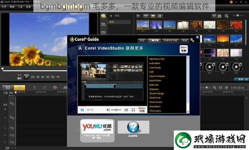 bgmbgmbgm毛多多一款專業(yè)的視頻編輯軟件