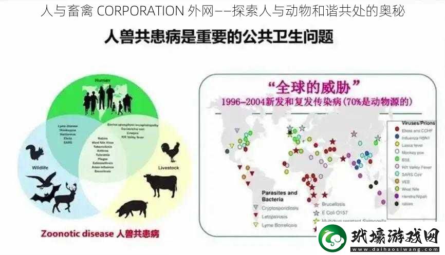 人與畜禽CORPORATION外網(wǎng)——探索人與動(dòng)物和諧共處的奧秘