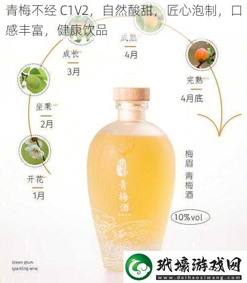 青梅不經(jīng)C1V2自然酸甜匠心泡制口感豐富健康飲品