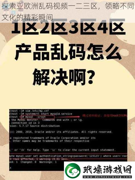 探索亞歐洲亂碼視頻一二三區(qū)領(lǐng)略不同文化的精彩瞬間