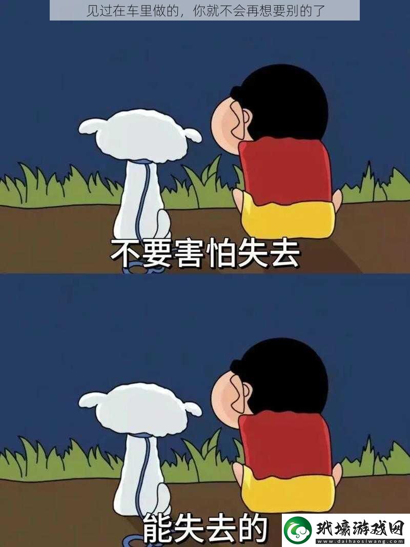 見過在車?yán)镒龅哪憔筒粫?huì)再想要?jiǎng)e的了