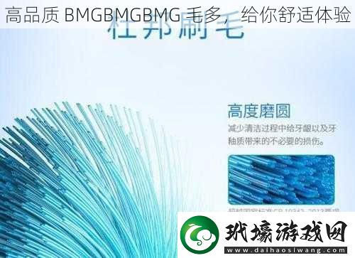 高品質(zhì) BMGBMGBMG 毛多，給你舒適體驗(yàn)