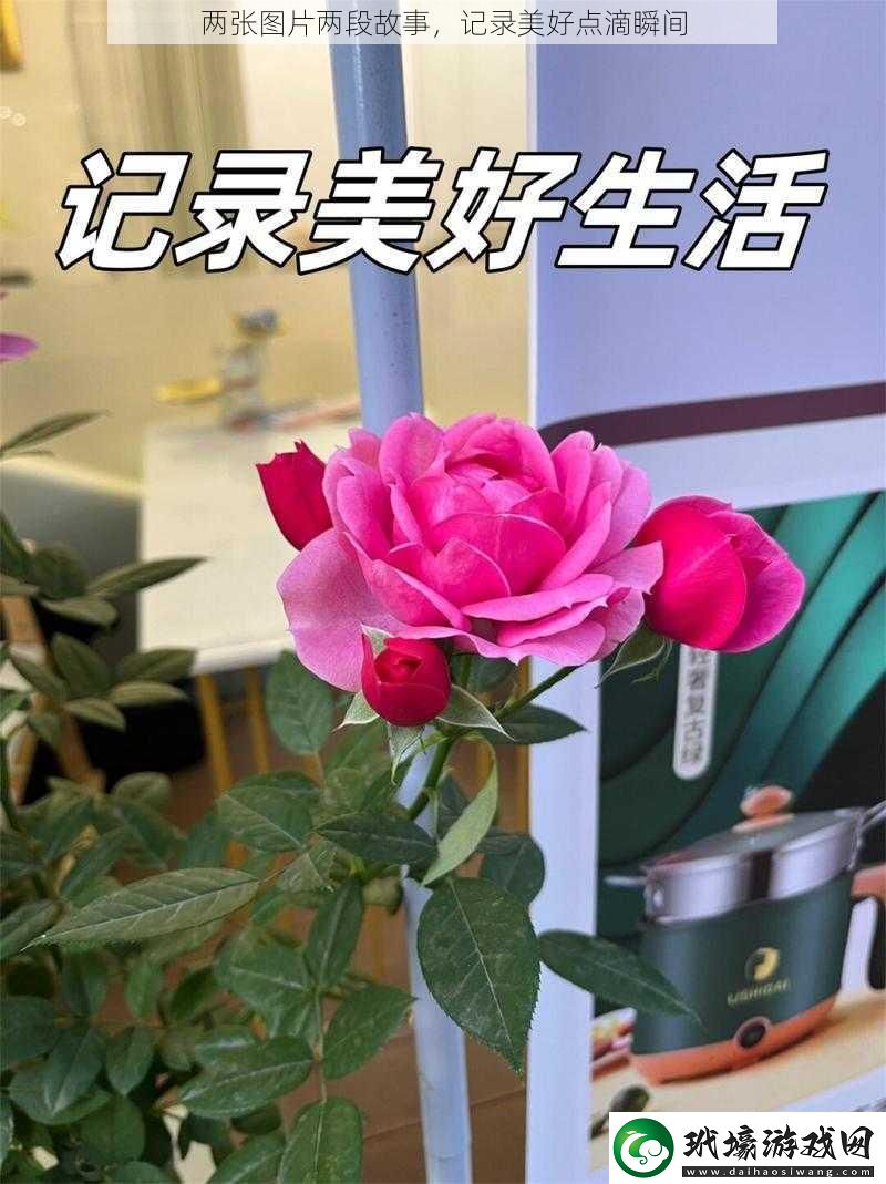 兩張圖片兩段故事，記錄美好點滴瞬間