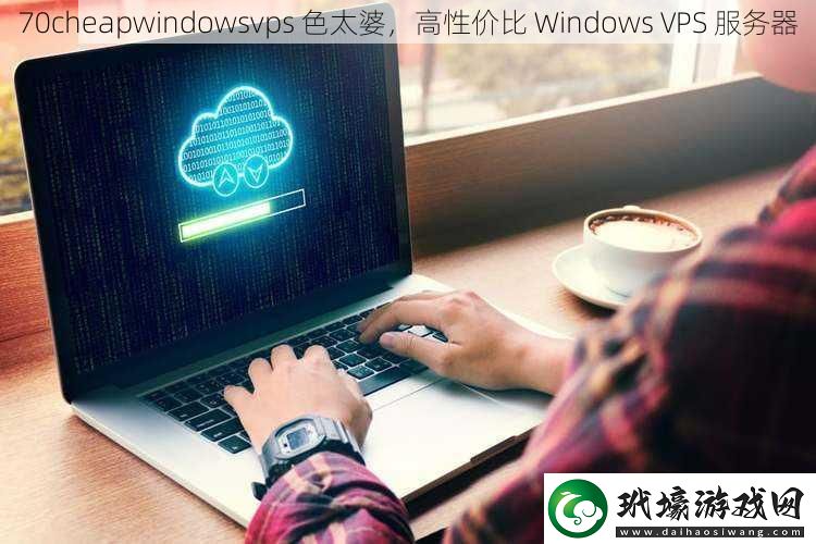 70cheapwindowsvps色太婆高性價比WindowsVPS服務(wù)器