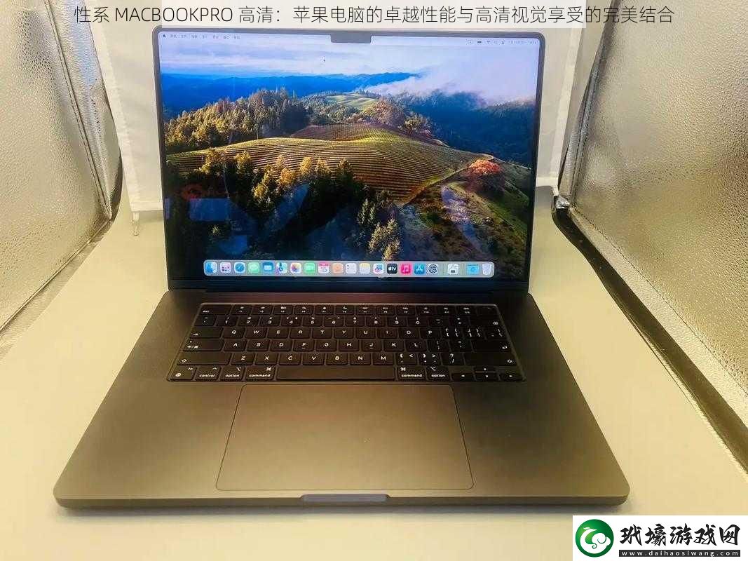 性系MACBOOKPRO高清