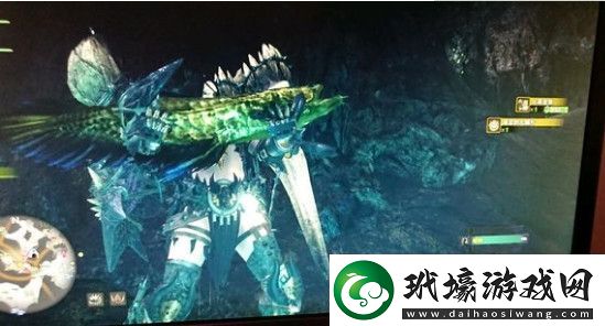 怪物獵人世界古代魚和夢幻之鳥怎么抓