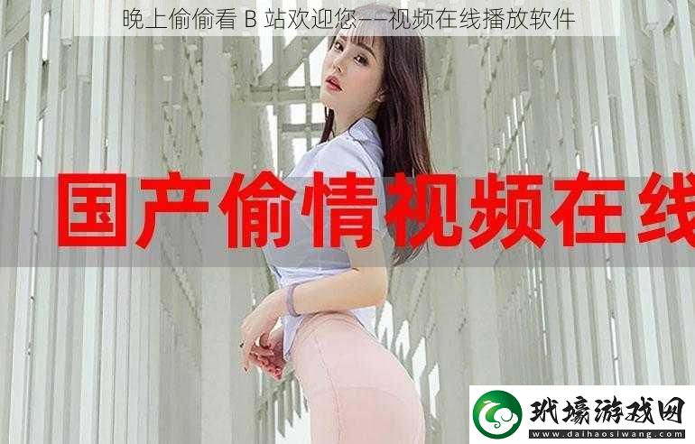 晚上偷偷看B站歡迎您——視頻在線播放軟件