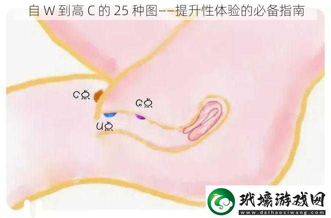 自W到高C的25種圖——提升性體驗的必備指南