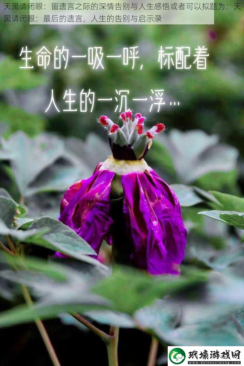 天黑請(qǐng)閉眼