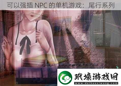 可以強插NPC的單機游戲