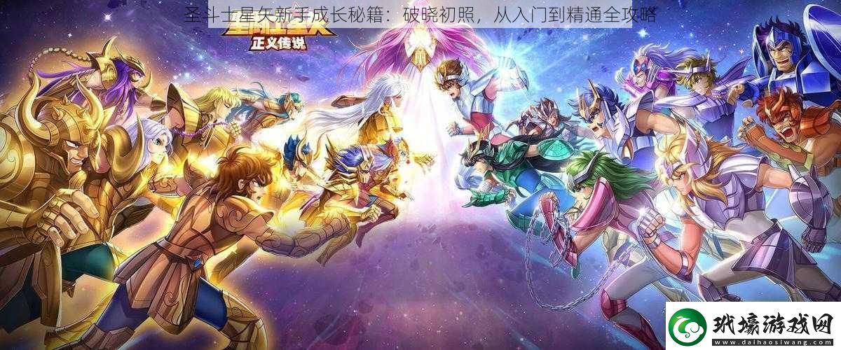 圣斗士星矢新手成長秘籍