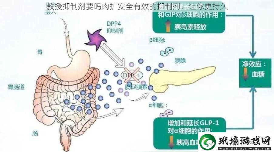 教授抑制劑要嗎肉擴(kuò)安全有效的抑制劑，讓你更持久