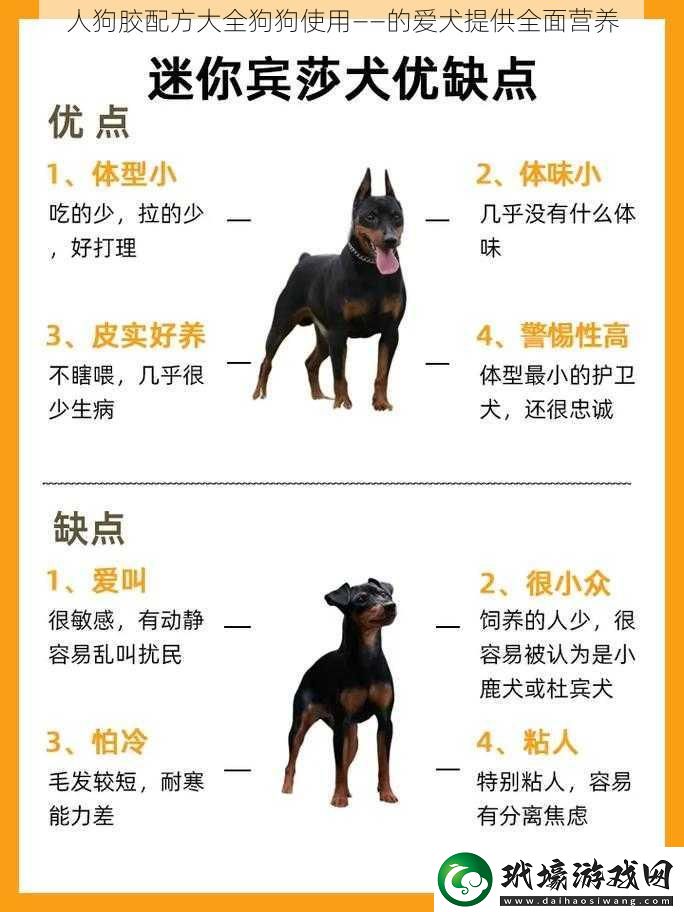 人狗膠配方大全狗狗使用——的愛犬提供全面營養(yǎng)