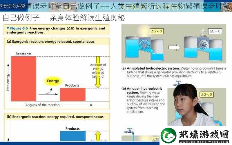 生物繁殖課老師拿自己做例子——人類(lèi)**繁衍過(guò)程生物繁殖課老師拿自己做例子——親身體驗(yàn)解讀**奧秘