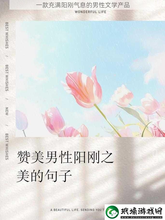 一款充滿陽剛氣息的男性文學產(chǎn)品