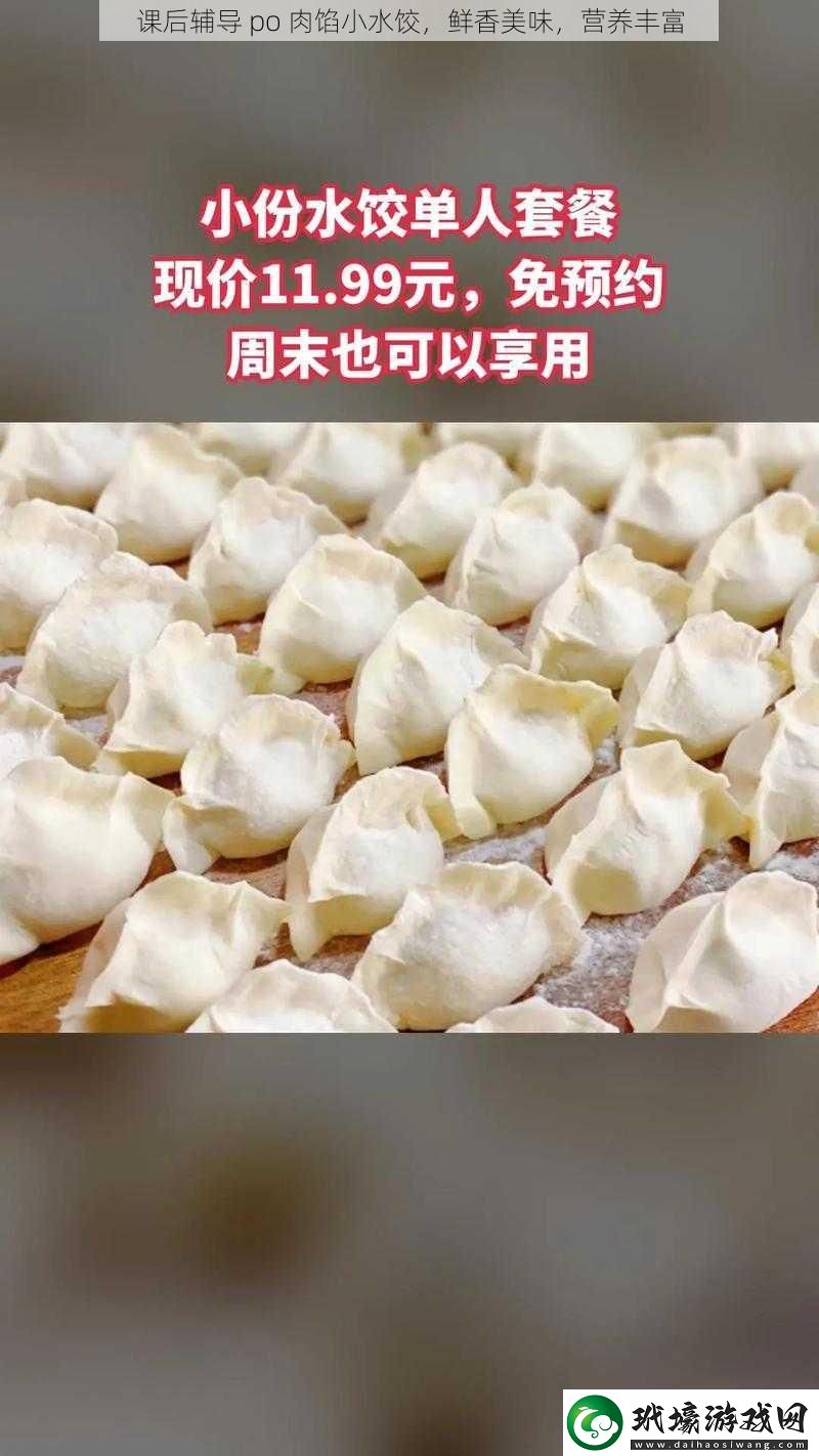 課后輔導(dǎo) po 肉餡小水餃，鮮香美味，營養(yǎng)豐富