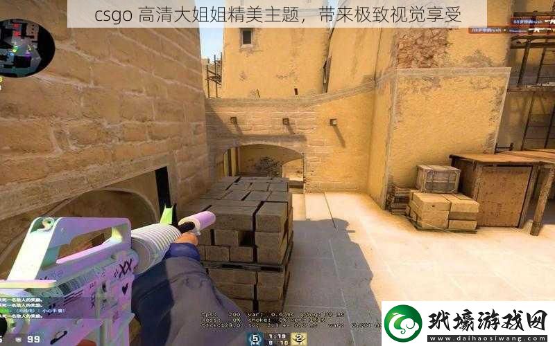 csgo高清大姐姐精美主題帶來極致視覺享受