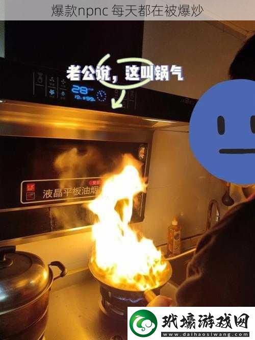 爆款npnc 每天都在被爆炒