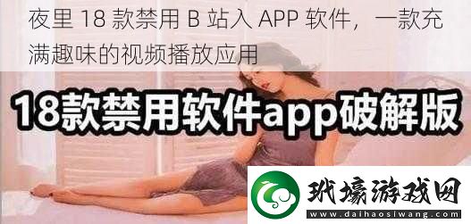 夜里 18 款禁用 B 站入 APP 軟件，一款充滿趣味的視頻播放應(yīng)用