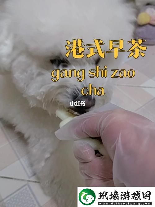 狗和人膠配方20分鐘