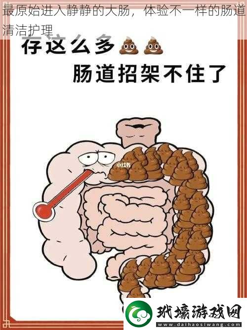 最原始進入靜靜的大腸體驗不一樣的腸道清潔護理