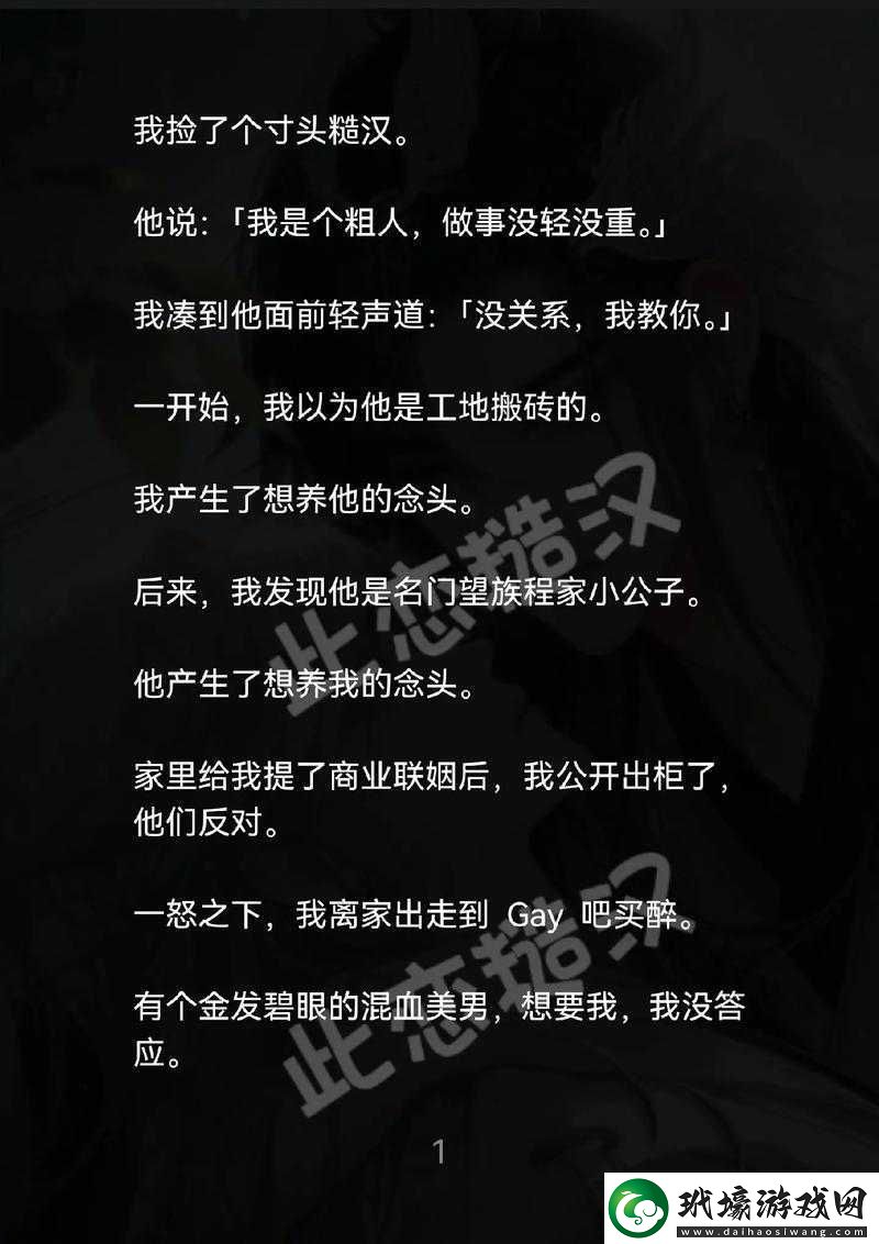 獨占糙漢1v1書香袋熊布丁之絕美愛情故事