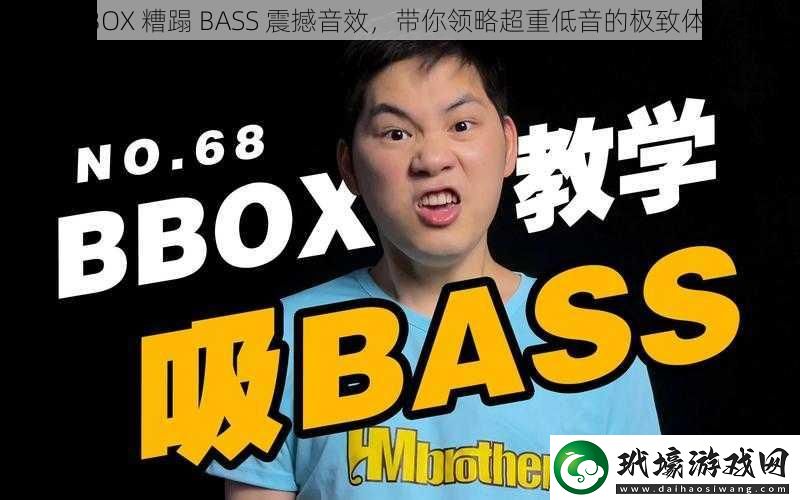 BBOX糟蹋BASS震撼音效帶你領(lǐng)略超重低音的極致體驗(yàn)