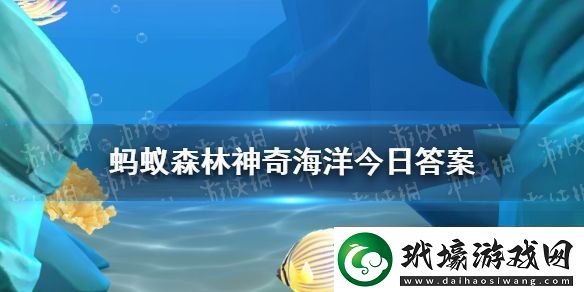 哪種海洋魚類別名閃光魚眼皮底下有兩盞眼燈神奇海洋12月8日答案