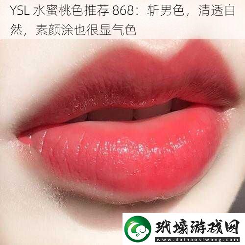 YSL 水蜜桃色推薦 868