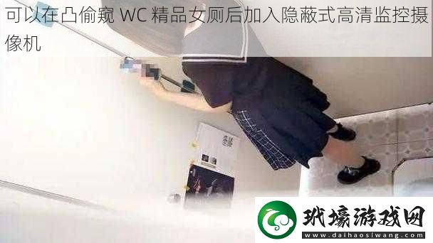 可以在凸偷窺 WC 精品女廁后加入隱蔽式高清監(jiān)控攝像機