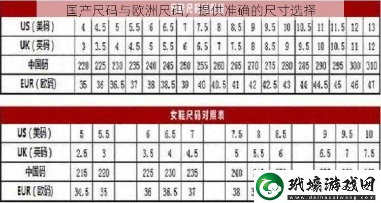 國產(chǎn)尺碼與歐洲尺碼提供準(zhǔn)確的尺寸選擇