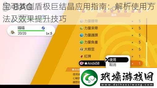 寶可夢(mèng)劍盾極巨結(jié)晶應(yīng)用指南