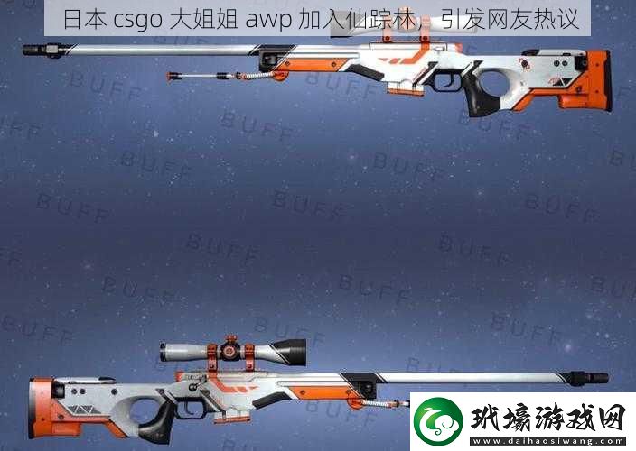 日本 csgo 大姐姐 awp 加入仙蹤林，引發(fā)網(wǎng)友熱議