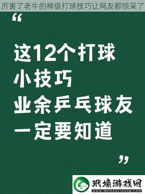 厲害了老牛的神級打球技巧讓網(wǎng)友都驚呆了