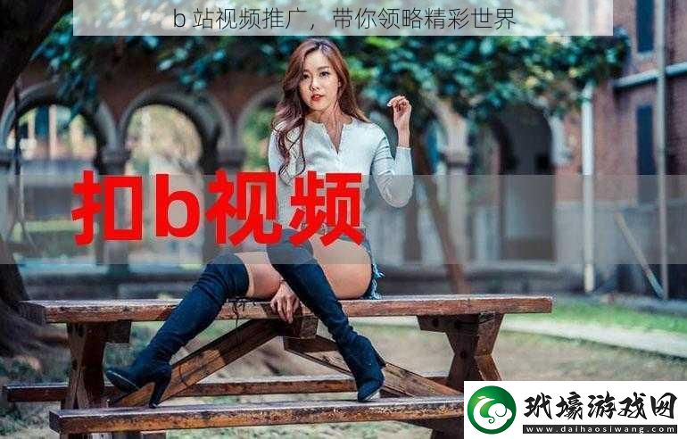 b站視頻推廣帶你領(lǐng)略精彩世界