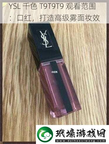 YSL 千色 T9T9T9 觀(guān)看范圍