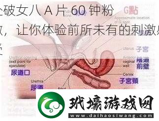 處破女八A片60鐘粉嫩讓你體驗(yàn)前所未有的刺激感受