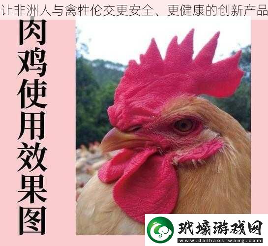 讓非洲人與禽牲倫交更安全、更健康的創(chuàng)新產(chǎn)品