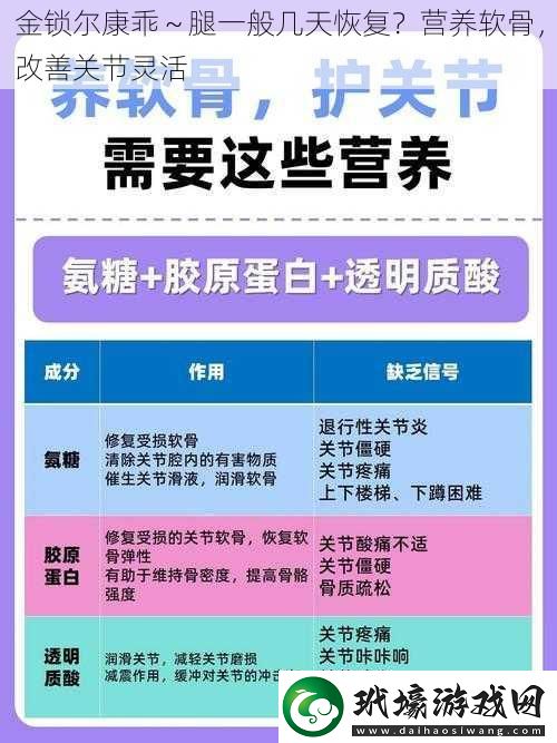 金鎖爾康乖～腿一般幾天恢復？營養(yǎng)軟骨，改善關節(jié)靈活