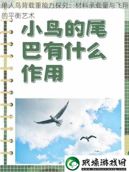 單人鳥背載重能力探究