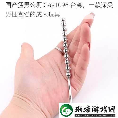 國產(chǎn)猛男公廁Gay1096臺灣一款深受男性喜愛的成人玩具