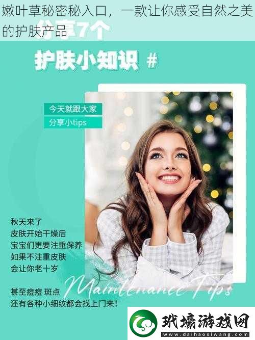 嫩葉草秘密秘入口一款讓你感受自然之美的護膚產(chǎn)品