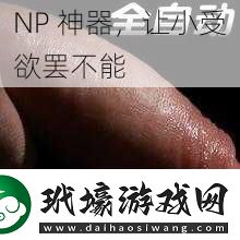 NP神器讓小受欲罷不能