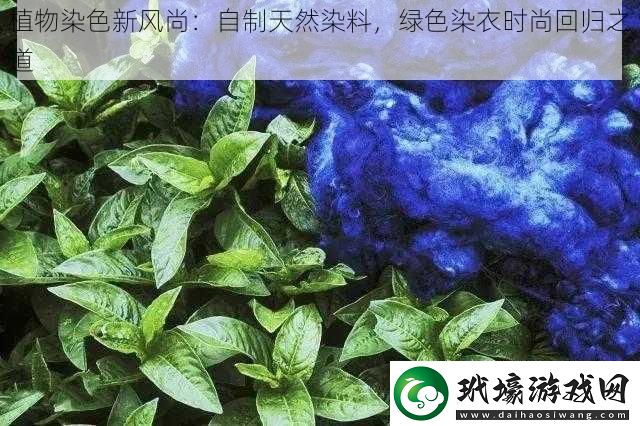 植物染色新風(fēng)尚