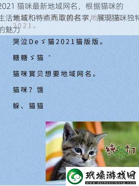 2021 貓咪最新地域網(wǎng)名，根據(jù)貓咪的生活地域和特點(diǎn)而取的名字，展現(xiàn)貓咪獨(dú)特的魅力