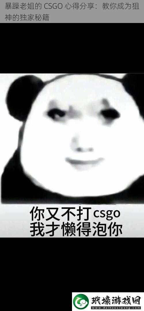 暴躁老姐的 CSGO 心得分享